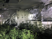 الرملة: الكشف عن مختبر لزراعة المخدرات واعتقال  6 مشتبهين