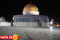  الشرطة توقف الشيخ عدلي الكردي في المسجد الأقصى 