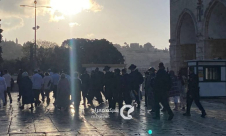 مستوطنون يقتحمون الأقصى بعد افراغه من المعتكفين 