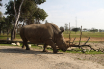 مجموعة من الصور الرائعة لحديقة الحيوان