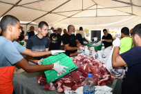 جمعية يافا تستعد لإطلاق مشروع الأضاحي الأضخم على مستوى المدينة