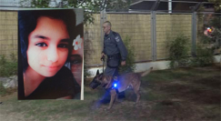 بعد اختفائها - العثور على الفتاة ريان عبد الله سالمة وبصحة جيّدة في الرملة