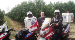 مصرع سيدة من جسر الزرقاء لدغتها أفعى قرب الخضيرة