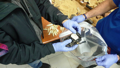 صور: ضبط سموم داخل تماثيل في مطار اللد