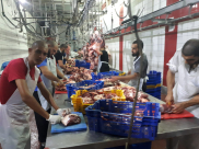 بالفيديو: جمعية يافا تُنجز المرحلة الثالثة لمشروع الأضاحي والتوزيع صباح الأربعاء من مكتب الجمعية