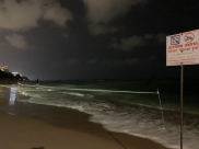  فيديو: بعد تزايد حالات الغرق - البلدية تضع لافتات تحذيرية على شاطئ الريف بيافا 