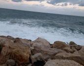 الطقس : ارتفاع درجات الحرارة في البلاد اليوم