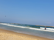 فيديو: البحث عن غريق اختفت آثاره على شواطئ يافا