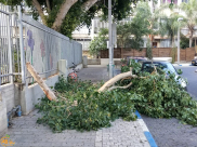  بسبب سوء الأحوال الجوية - اغلاق رياض الأطفال في مدينة اللد الجمعة 