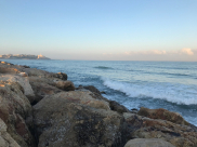  شاهد: يافا الساحرة وشاطئها هذا الصباح 