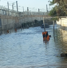 مياه الأمطار تغمر عددا من شوارع حي المحطة بمدينة اللد 