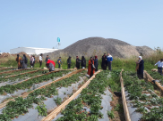 صور: أحباب الأقصى بيافا تُنظم رحلة ترفيهية إلى قلنسوة وطولكرم 