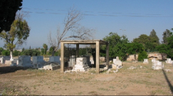  مقبرة "القسّام": اللجنة الشعبية تقرر الاستئنافَ على القرار نبش وتجريف المقبرة