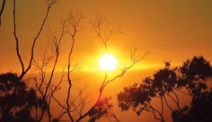 الأربعاء: موعد بدء فصل الصيف في فلسطين