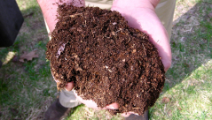 قانون امريكي جديد يسمح بتحويل جثث الاموات الى تراب زراعي