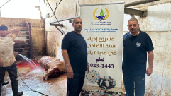 فيديو: جمعية يافا تذبح 24 عجلاً ضمن مشروع الأضاحي 