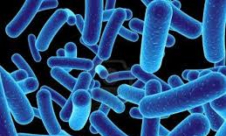 بكتيريا قاتلة قد تكتب نهاية المضادات الحيوية
