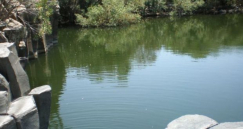 ارتفاع عدد المصابين بالبريميات والصحة تحاول منع انتشاره