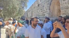 نفخ بالبوق وصلوات جماعية- عشرات المستوطنين يقتحمون الأقصى "برأس السنة العبرية"