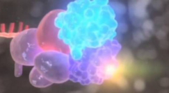 ستة اكتشافات عن الفيروسات ستفاجئك