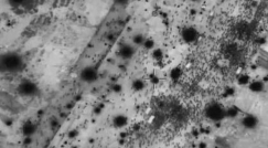 "مجزرة الطحين" بغزة: شهادات وأدلة على كذب رواية الجيش الإسرائيلي