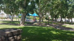 بعد 5 أيام - انتهاء قضية عائلة سقا وتفكيك خيمتهم في حديقة العجمي بيافا