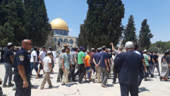 فيديو: مئات المستوطنين يقتحمون الأقصى