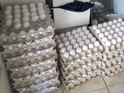 ارتفاع أسعار البيض بنسبة 6.5%