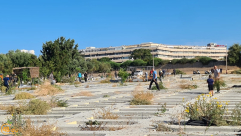 صور: انطلاق معسكر صيانة مقبرة طاسو الإسلاميّة، ودعوات لأوسع مشاركة