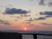 حالة الطقس: عودة موجة الحر