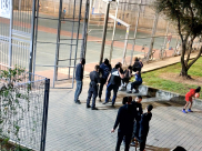 يافا: المستوطنون يحاولون السيطرة على الملعب البلدي ييفت 86 