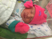 تهنئة مقدمة من موقع يافا 48 للمحامي محمد دريعي بمناسبة المولودة الجديدة 