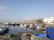 الجمعة: خيمة الهدى ستُقام في الميناء وصيادو يافا يدعون الأهالي للتواجد والمشاركة