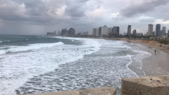  شاهد: الأمواج العالية تجذب محبي ركوب الأمواج على شاطئ بحر يافا 