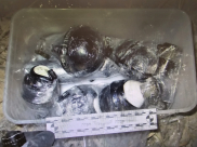 اللد: ضبط قنابل يدوية وصوتية في منطقة مفتوحة بالمدينة