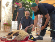  بالصور: أجواء عيد الأضحى المبارك وذبح الأضاحي في يافا، اللد والرملة