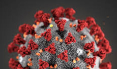 وفاة 18273 شخصاً بكورونا حول العالم