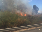 بالصور: حريق في الأحراش على شارع 40 قرب مدينة اللد 