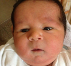 داوود بلال كحيل