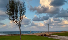 حالة الطقس: أجواء حارة وجافة