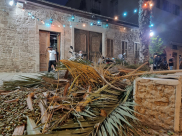 يافا: بعد تقليمها - القاء بقايا غصون الأشجار أمام بوابة مسجد السكسك