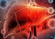 الصحة العالمية تكشف آخر مستجدات التهاب الكبد الغامض