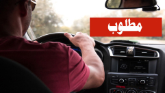 مطلوب سائق "حافلة صغيرة" لشركة سفريات في يافا 