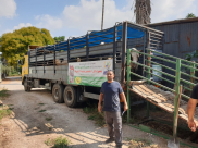  بالفيديو: جمعية يافا تستعد لذبح 30 عجلاً ضمن مشروع الأضاحي وحملة الاشتراكات مستمرة 