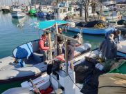 فيديو: الشرطة البحرية مستمرة في مضايقة الصيادين بميناء يافا 