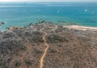 الحرائق تحوّل جزءا من جزيرة رودوس السياحية اليونانية إلى رماد