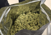  هل حوكمت سابقاً بتهمة حيازة أو تعاطي القنب؟ يمكنك حذف السجل الجنائي