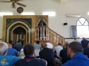  الشيخ محمد عايش "نحن أمام جيل جاهل لا يعرف من أمره شيء"