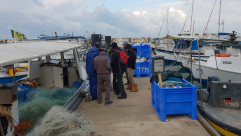   بالفيديو: شرطة الحفاظ على البيئة تُداهم مراكب الصيادين في ميناء يافا 