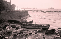  صورة نادرة تُعرض للمرة الأولى لميناء مدينة يافا قبل عام 1948